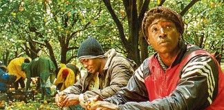 Festa do Cinema Italiano trouxe três dias de filmes às Caldas