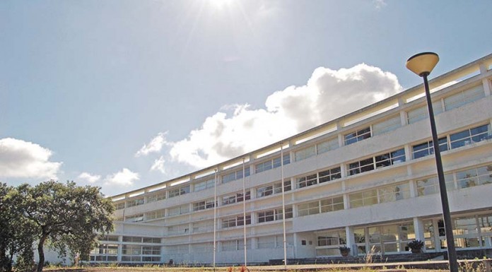 ESAD aumenta vagas com nova licenciatura em Programação Cultural