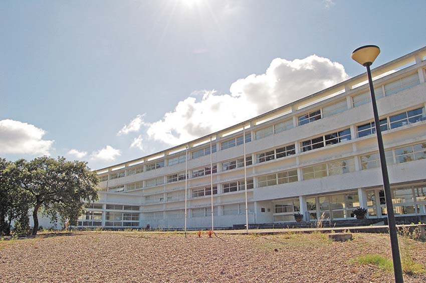 ESAD aumenta vagas com nova licenciatura  em Programação Cultural