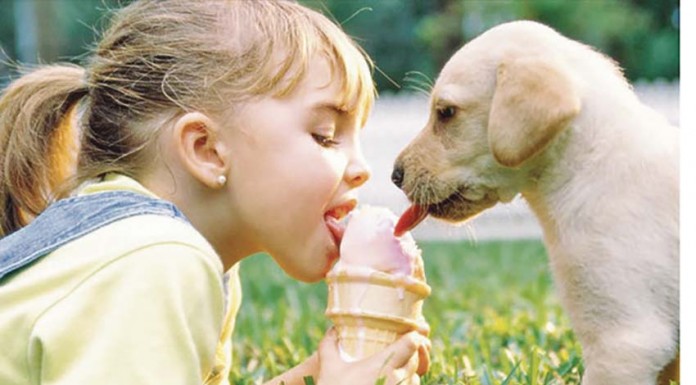 Ter animais de estimação pode melhorar a saúde