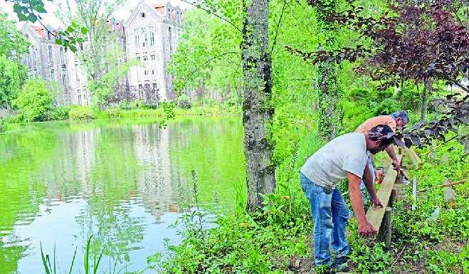 Um miradouro junto ao lago para potenciar beleza do Parque