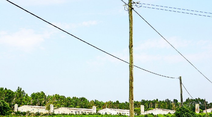 Surto de moscas em Óbidos dominou as discussões na última Assembleia Municipal