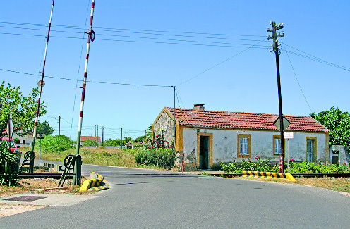 Comboio passa com cancelas abertas na passagem de nível do Campo