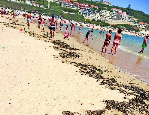 Um areal a precisar de limpeza