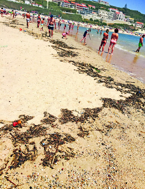 edicao15-7_Page_29_Image_0005