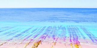 Autarcas do Oeste rumam para as águas mais quentes no sul nas férias de Verão