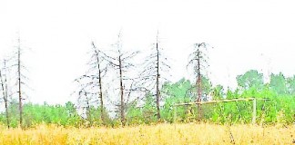 Um tempo que já não volta