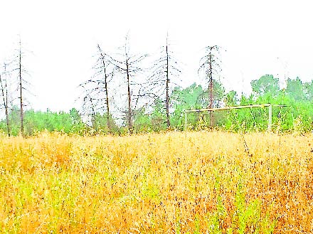 Um tempo que já não volta