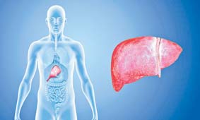 28 de Julho foi o Dia Mundial  de Luta contra as Hepatites