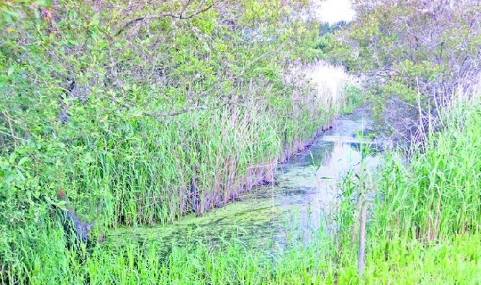 Edicao 5135_Page_08_Image_0002