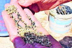 Edicao 5136_Page_04_Image_0003