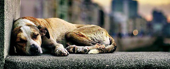 Edicao 5136_Page_30_Image_0009