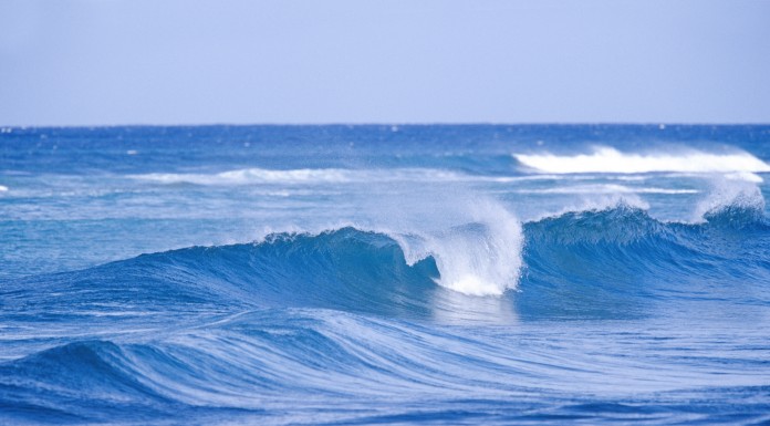 Peniche abriu a primeira praia para cães