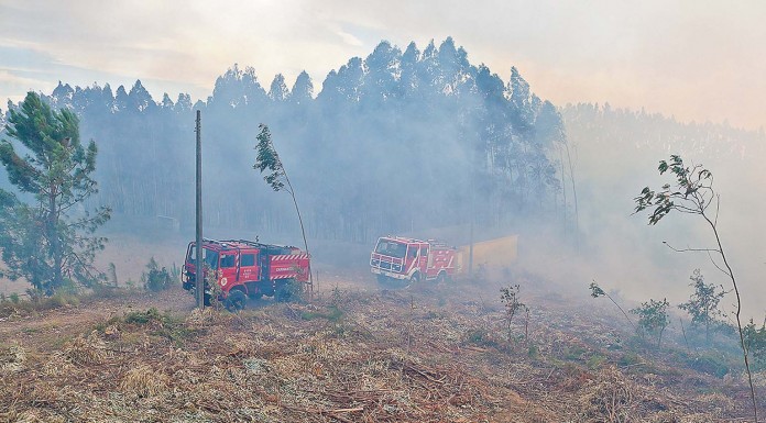 Quase 200 bombeiros combateram incêndio em Alvorninha