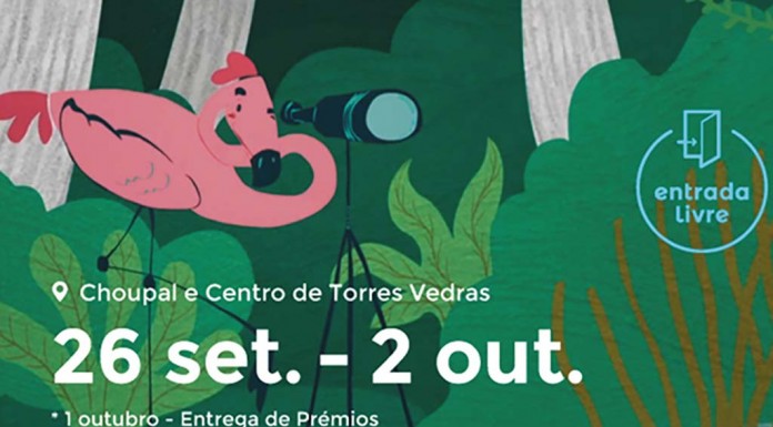 Festival de cinema de animação em Torres Vedras
