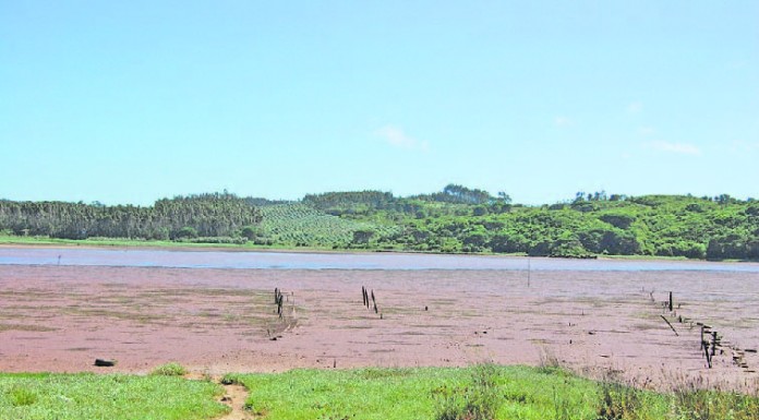 Comissão das Linhas de Águas e Ambiente contesta análises aos dragados na Lagoa