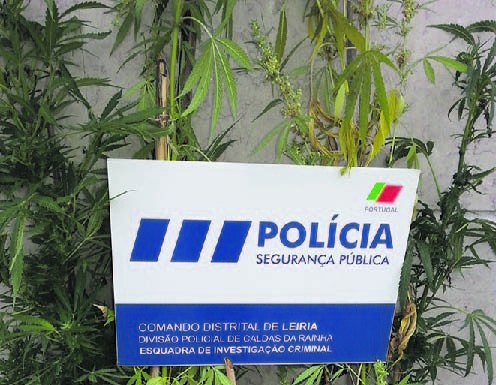 Doze multas por campismo ilegal em Peniche