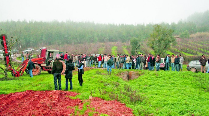 Em Alcobaça há um centro tecnológico que ajuda os agricultores a produzirem melhor