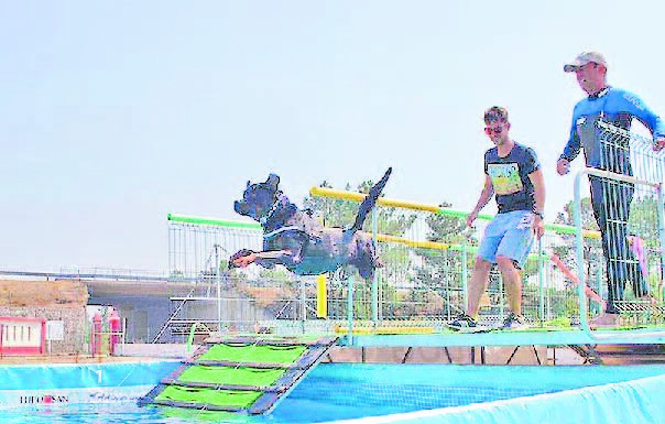 Dock Diving amanhã no Oeste Dog Camp