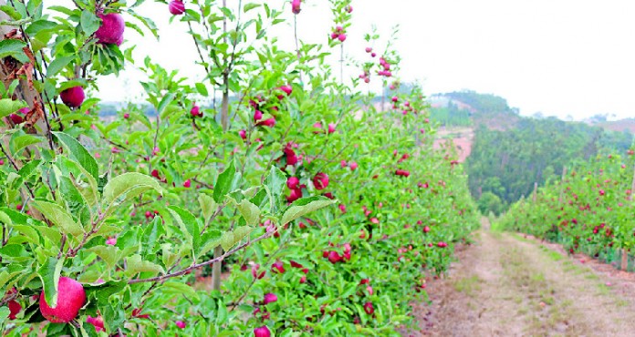 Edicao 5137_Page_09_Image_0002