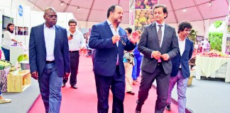 Caldas estabelece protocolo para agilizar negócios com países da lusofonia