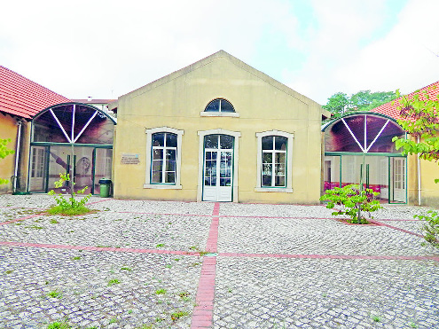 Edicao 5137_Page_13_Image_0001