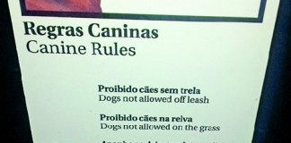 Regras caninas?