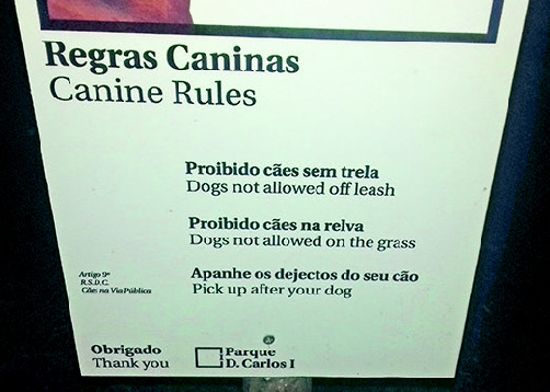 Regras caninas?