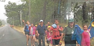 Escuteiros em contramão