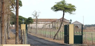 Grupo Valouro quer investir 1,5 milhões de euros para construir aviários em Salir do Porto