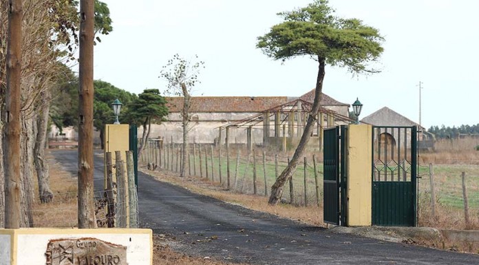 Grupo Valouro quer investir 1,5 milhões de euros para construir aviários em Salir do Porto