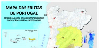 Três frutas do Oeste no mapa da fruta de Portugal