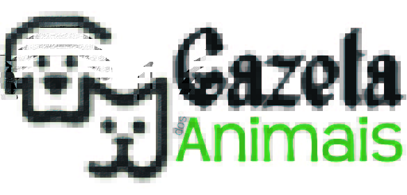 notícias das Caldas