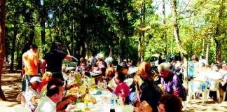 Dia do Idoso celebrado no Parque pela primeira vez dia do idoso no parque