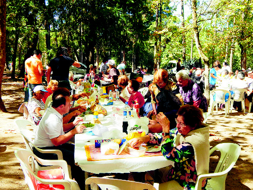 dia do idoso nas caldas dia do idoso no parque