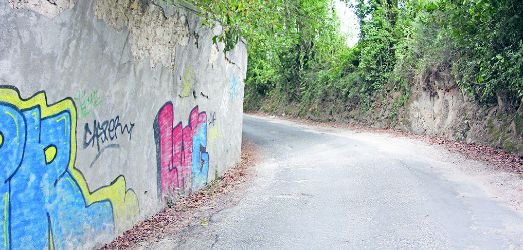 arranjo do muro da mata