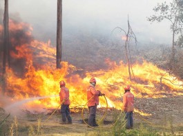 incêndios de Verão