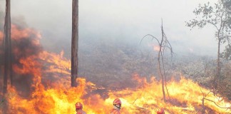 incêndios de Verão