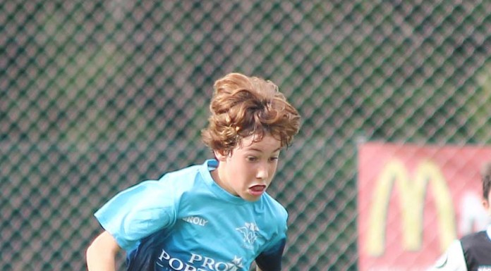 Estranha tentação pelo risco Yann Cherel