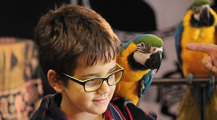 1600 animais na XXX Expoaves XXX Expoaves