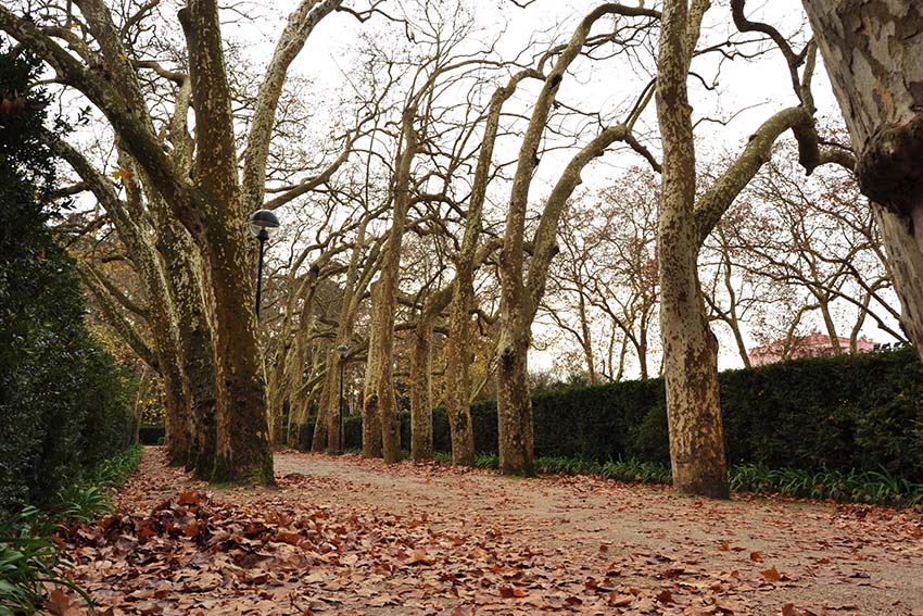 Mais melhorias no Parque D. Carlos I