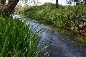 O Alcoa atravessa os concelhos de Alcobaça e Nazaré. A ideia é que possa ser usufruído através de um percurso pedestre e ciclável.