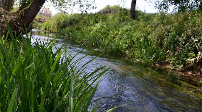 Programa Valorizar apoia projectos em Óbidos e Bombarral