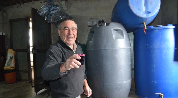 “Pelo S. Martinho vai à adega e prova o vinho” JoaoSoaresCubas