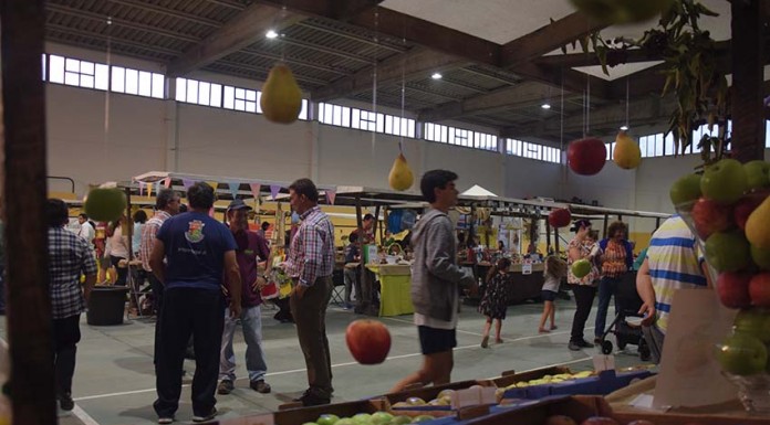 Feira das Velharias na Expoeste procura internacionalização Mercado