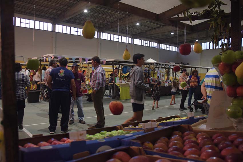 Feira das Velharias na Expoeste procura internacionalização