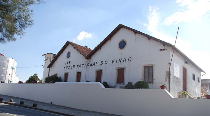Museus do vinho vão funcionar em rede para potenciar o sector vitivinícola Museu do Vinho