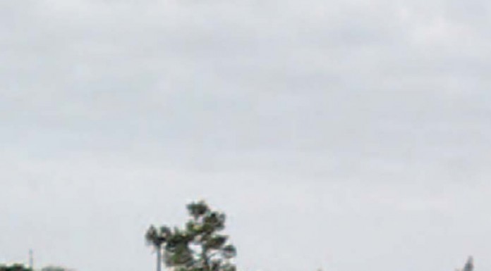 Da adega à taberna dá o mote a caminhada vinícola na Lourinhã caminhada