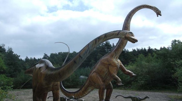Lourinhã vai ter parque temático dos dinossauros em 2018 Dinossauros
