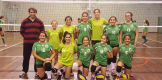 voleibol
